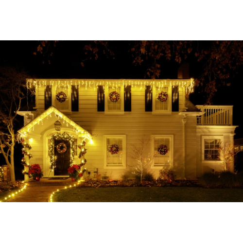 The Boys Christmas Light Hanging Services