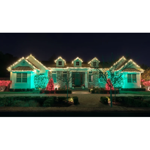 The Boys Christmas Light Hanging Services