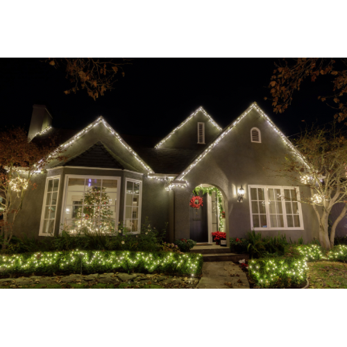 The Boys Christmas Light Hanging Services