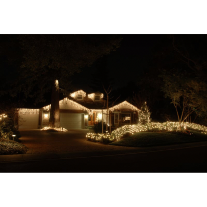 The Boys Christmas Light Hanging Services