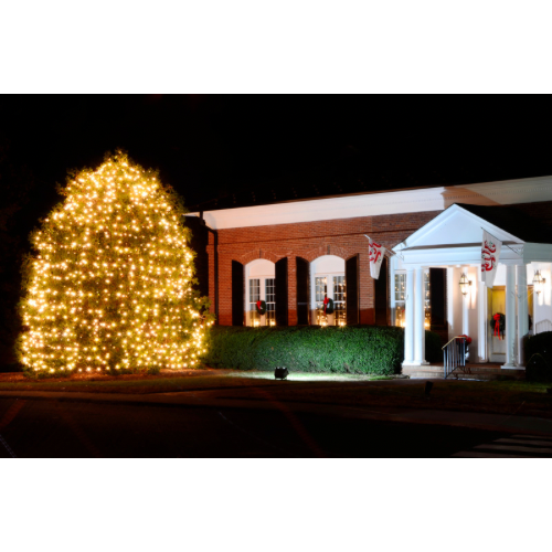 The Boys Christmas Light Hanging Services