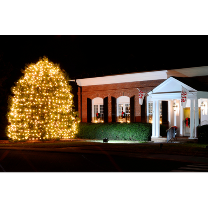The Boys Christmas Light Hanging Services